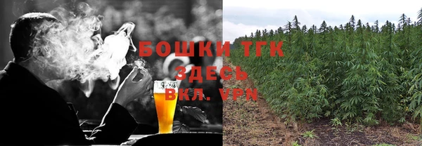 гашик Алексеевка